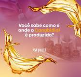 Você sabe como e onde o Canabidiol é produzido? 🧐, No vídeo de hoje, vamos  mostrar todo o processo de produção e explicar as etapas de purificação  necessárias para obter o Canabidiol isolado, um ...