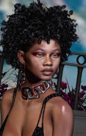 ✓ SL Bloggers & photographers