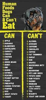 30 Human Foods Dogs Can And Can T Eat Rottweiler Life Dogs Can And Cant Eat Rottweiler Foods Dogs Can And Cant Eat