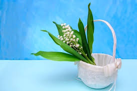 2 photos · créé par béa. Bouquet De Muguet Imagenes Y Fotos 123rf