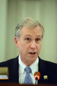 What They're Saying: NJ Surrogates Sound Off