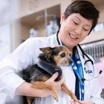 The most comprehensive pet insurance in one simple plan. Working At Vca Glassdoor