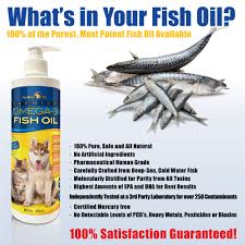 Cats are meat eaters, making vegetarian and vegan diets unsuitable for their needs. Premium Omega 3 Fish Oil For Dogs And Cats Terramax Pro