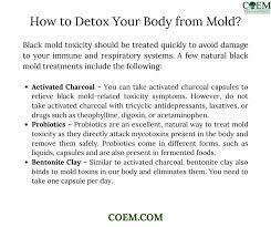 You won't see results overnight. How To Detox Your Body From Black Mold The Guide Ways