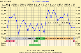 Bbt Chart Images Fertility Question Time Natural
