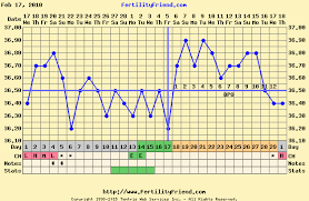 bbt chart images fertility question time natural