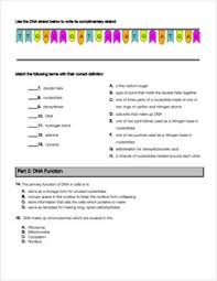 By the way related with dna and replication pogil worksheet answes weve collected. Dna Structure Function And Replication Review Worksheet Tpt