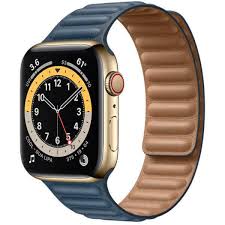 Apple Watch Edition Series 6 ...