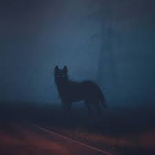1920x1080 wolf art wallpaper 1080p high quality, 1920 x 1080 (273 kb) &mediumspace; Lurking In The Dark Werewolf Werewolves Darkness Beast Creature Art Design Horror Night Scary Photo Werewolf Aesthetic Scary Wolf Scary Creatures