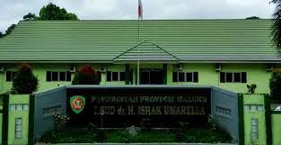 Sejara batu kuda tulehu / gubernur maluku,ajak mas. Layanan Faskes Tbc Indonesia