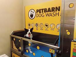 Ünlü ve amatör yazarlardan en güzel pet stores with dog wash near me kitapları incelemek ve satın almak için tıklayın. Petbarn Missy The Collie Is All Ready For The Weekend Facebook