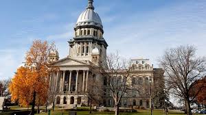 This is a suggestion also. Opinion Illinois State Motto Should Be Changed To More The Shoppers Weekly