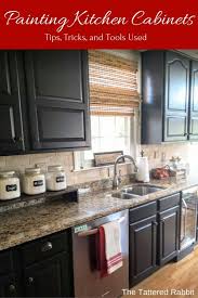 How To Paint Raised Panel Kitchen Cabinets Refacing Kitchen Cabinets New Kitchen Cabinets Kitchen Renovation