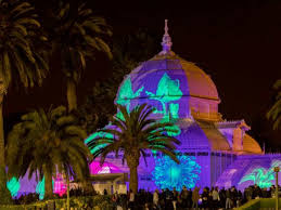 This unique and historic facility i recently coordinated a wedding hosted at the conservatory of flowers. Conservatory Of Flowers Annual Light Show Returns With Full Lineup