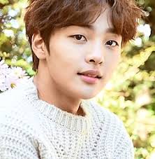 He starred in television series second 20s (2015) Category Kim Min Jae Wikimedia Commons
