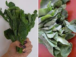 Today, kale is the foundation of everything from buddha bowls to protein smoothies. What S A Good Replacement For Kale Jewelpie