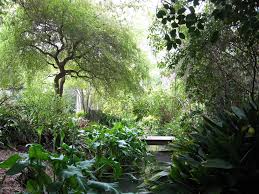 Wander The Mildred E Mathias Botanical Garden At Ucla Morning Meditation Botanical Gardens Meditation