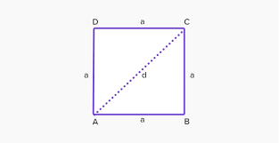 Go to the insert tab, and in the text group click text box. What Is Diagonal Definition Facts Example