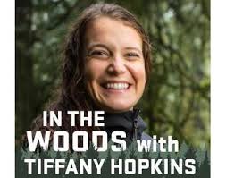 Are wood chips the best surface for our trails?