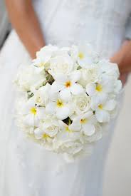 Bridal Bouquet Plumeria 50 Wedding Flowers Brides Flowers Bouquet Tropical Wedding Bouquets Frangipani Wedding