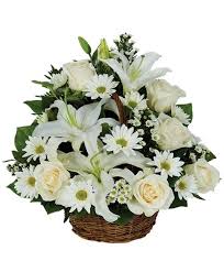 Curcuma, fiore prettamente estivo, dalla forma molto particolare, è usato sia per le composizioni floreali per matrimoni, che per il bouquet da sposa. Il Negozio Euroflora Consegna Composizioni E Omaggi Funebri A Domicilio In Tutta Biella In Giornata