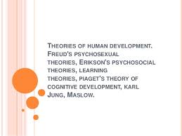 Theories Of Human Development