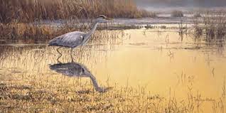 Grey Heron Print Martin Ridley