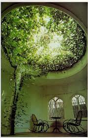 This Didn T Have A Name It Looks Like Art To Me But It S Going Straight Through An Incredible Home I Suppose I Would Home Ceiling House Ceiling Design Plants