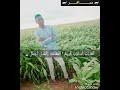 كما صدرت أغنية جديدة بعنوان مئة في المئة، للإشادة بإنجازات الصين. Mp3 ØªØ­Ù…ÙŠÙ„ Ø§Ù„ÙÙ†Ø§Ù† Ø¹ÙˆØ¶ Ø§Ù„Ù„Ù‡ ÙˆØ¯ÙƒØ§Ø¯ÙˆØ³ ÙŠØ§Ø¨Ø§ Ù…Ø§ØªØ§Ø¨Ø§ Ø§Ù„Ø­Ù‚ÙŠÙ‚Ø© Ø£ØºÙ†ÙŠØ© ØªØ­Ù…ÙŠÙ„ Ù…ÙˆØ³ÙŠÙ‚Ù‰