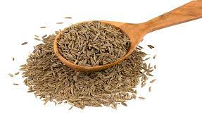 Cumin seeds are still used as a traditional medicine to treat liver, digestion, and lung disorders. Aavams Exports Exporting The Indian Spices