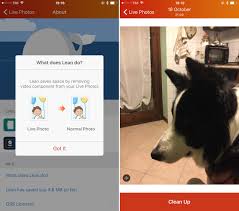 Whether you enjoy drama, romance, comedy or fantasy, in my story, you are the one that gets to control what happens. Lean Lets You Clean Up Live Photos By Removing Video From Them Macstories