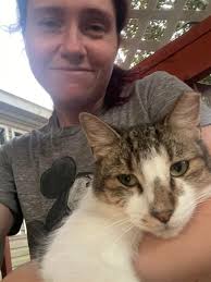 Snoopy, missing since last night, Millenium Park/Stopford Road area. No  collar but is chipped. Distinctive tear