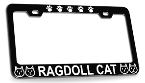 Amazon.com: Custom Brother - Ragdoll CAT Cats Black Metal License Plate  Frame Auto Tag Cover, R34 : Automotive