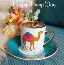 You have probably seen the hump day camel funny wednesday coffee quote photo on any of your favorite social networking sites, such as facebook this will save the hump day camel funny wednesday coffee quote to your account for easy access to it in the future. 170 Wednesday Coffee Ideas Wednesday Coffee Wednesday Hump Day Wednesday Quotes