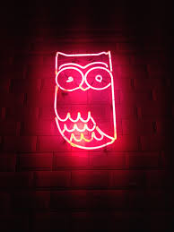 Neon Lights Tumblr Tumbrl Neon Neonlight Neonlights Owl Wallpaper Art