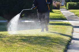 A five star termite & pest control is a locally owned and operated pest control company that has a team of environmentally conscious, experienced and skilled exterminators that are ready to apply safe and expert care for all of your pest control needs. Need Relief From Mosquitos Call 5 Star Pest Control For Fast Mosquito Control 5 Star Pest Control Cabin Care