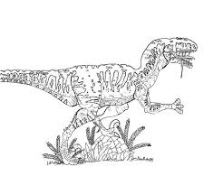 These are the instructions for building the lego jurassic world jurassic park velociraptor chase that was released in 2018. 9 Pics Of Jurassic Park Velociraptor Coloring Pages Velociraptor Coloring Home