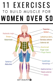 The main muscle group of the chest is the pectorals. Weight Training For Women Over 50 11 Exercises To Try Strength Workout Senior Fitness Fitness Workout For Women