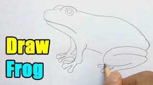 How to draw frog step by step? How To Draw A Frog Very Easy Youtube