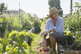 Jul 07, 2021 · plant these as companion plants in and around your crops as well as perimeter plants around your garden. 12 Worst Vegetable Garden Pests