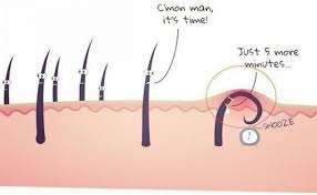 There are various practical ways to prevent hair curling around and growing back into the skin after shaving, waxing, trimming, or plucking. Treating And Preventing Ingrown Pubic Hair Fast Newstrack English 1