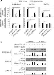 2dg is one of the most relevant glycolysis inhibitor. The Anti Tumor Efficacy Of 2 Deoxyglucose And D Allose Are Enhanced With P38 Inhibition In Pancreatic And Ovarian Cell Lines Journal Of Experimental Clinical Cancer Research Full Text