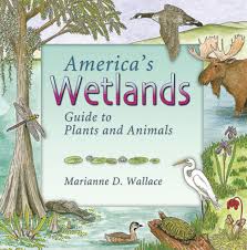 Check spelling or type a new query. America S Wetlands Guide To The Plants And Animals