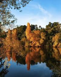 Lake Daylesford Macedon Ranges Natural Mineral Water Daylesford