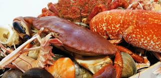 Plateau Fruits De Mer Larmor Baden Huitres Gouguec