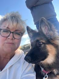 Hi everyone, I'm wondering if anyone can point me in the right direction,  I'm looking for a large field to rent out in the west of the island,  ideally close to a