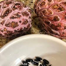 Anona synonyms, anona pronunciation, anona translation, english dictionary definition of anona. Anona Fruit From Akumal Natura Rescue Delicious Picture Of Akumal Natura Rescue Tripadvisor