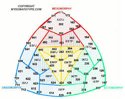 somatotype chart of meyers briggs personality types