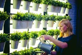 45 Amazing Indoor Garden Ideas 27 Is So Easy