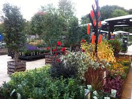 Autumn Display Benches Squires Garden Centre Twickenham Shrubs Herbaceous Perennials